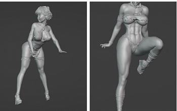 НЕ-72106 Амазонки (2шт)