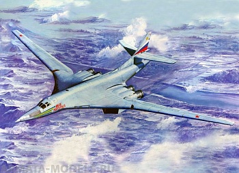 01620 Самолет Ту-160